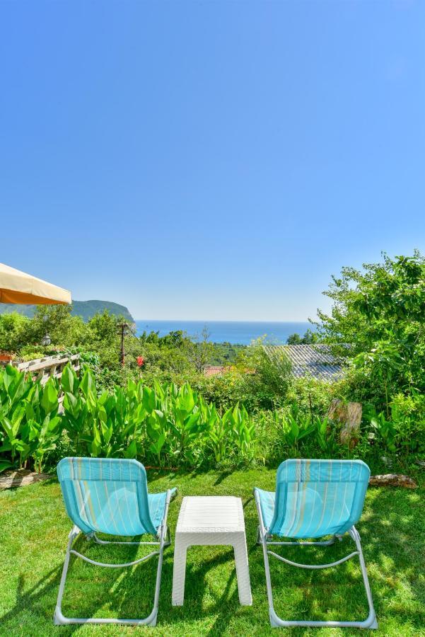 Pataki Studios Petrovac Bagian luar foto
