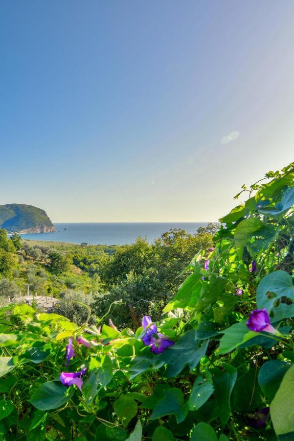 Pataki Studios Petrovac Bagian luar foto