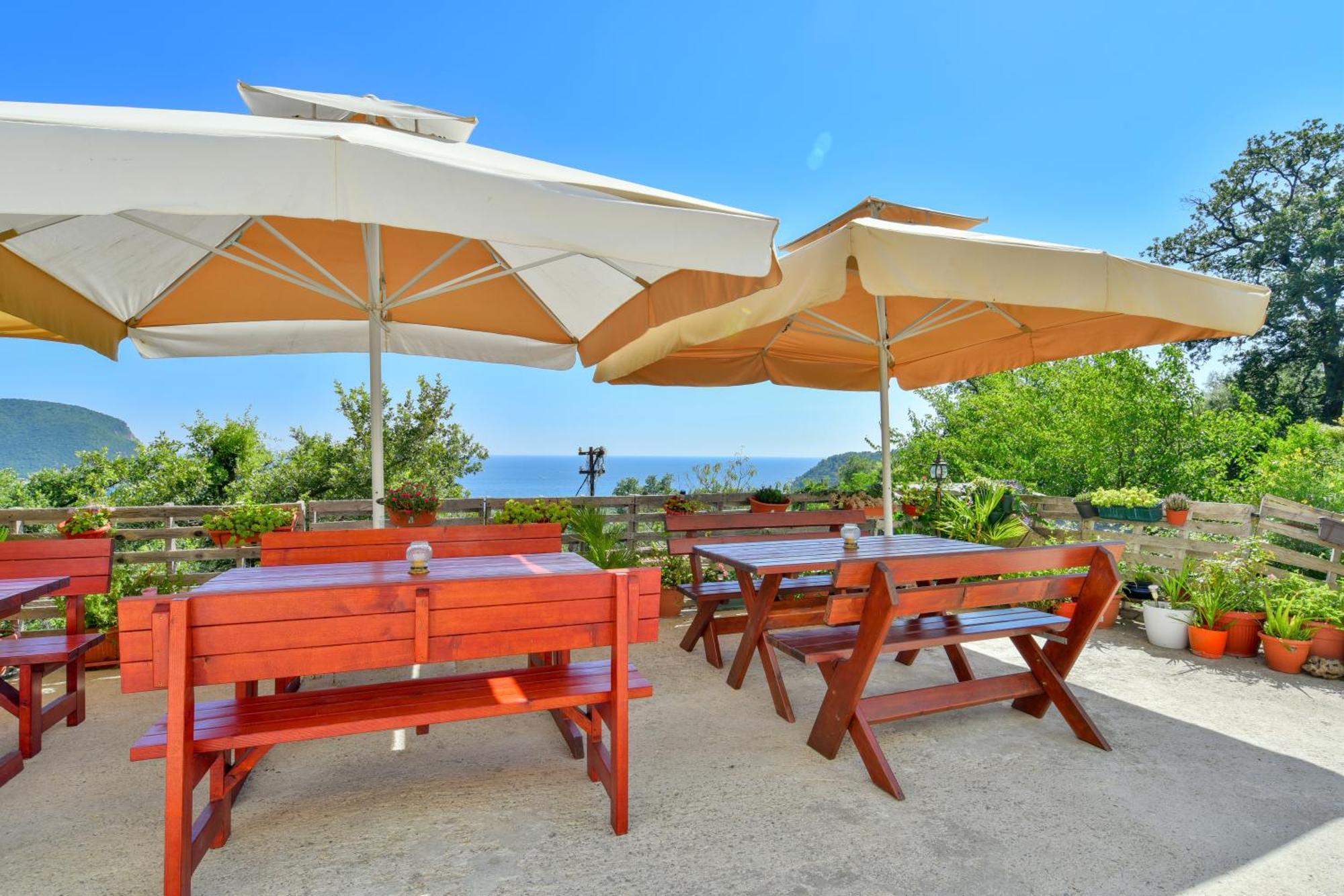 Pataki Studios Petrovac Bagian luar foto