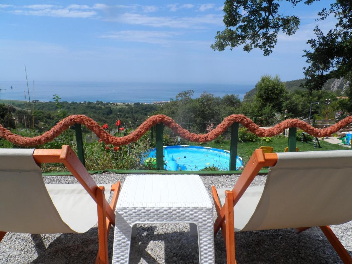 Pataki Studios Petrovac Bagian luar foto