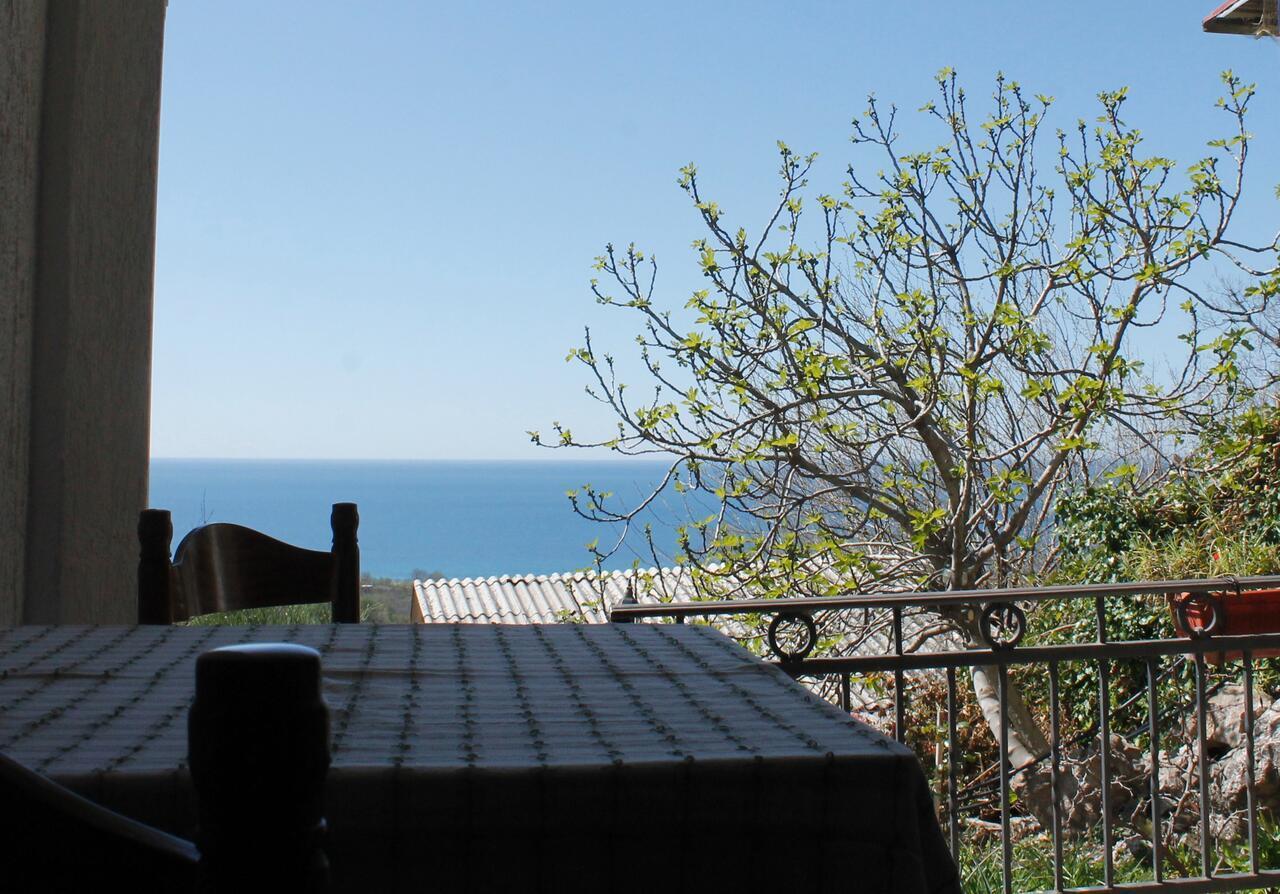 Pataki Studios Petrovac Bagian luar foto